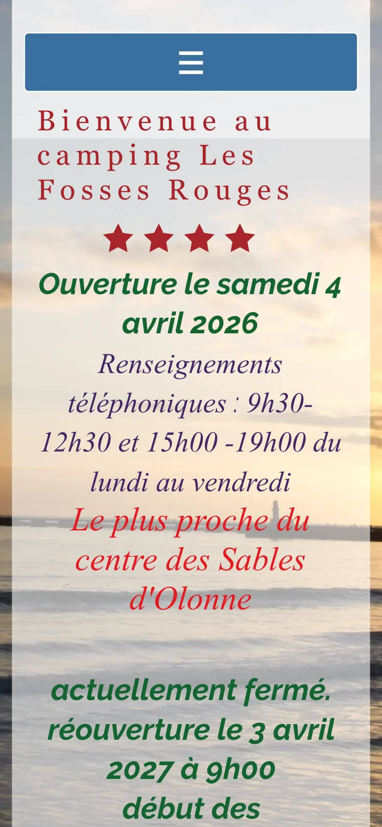 Capture mobile du site actuel